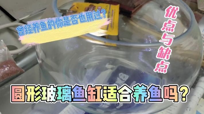 通遼彩鰈魚缸售后維護(hù)