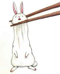 求一张漫画图片 画面内一双筷子夹住一只白色