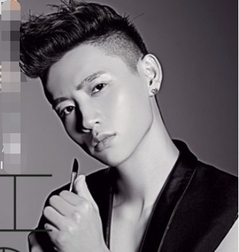 男生两边头发剃掉 上面的头发剪碎是什么发型