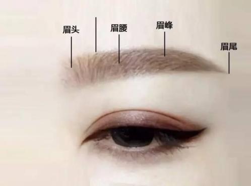 最简单的画眉毛步骤 t01660df37ba2c1f1a2.jpg?size=498x369