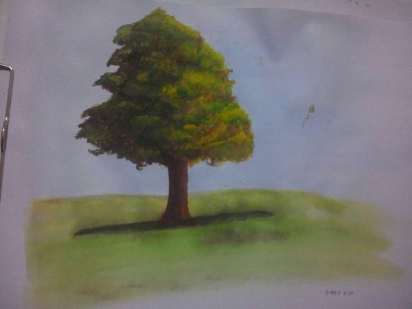 我想请问一下,水粉画成这样算不算有点天赋?我