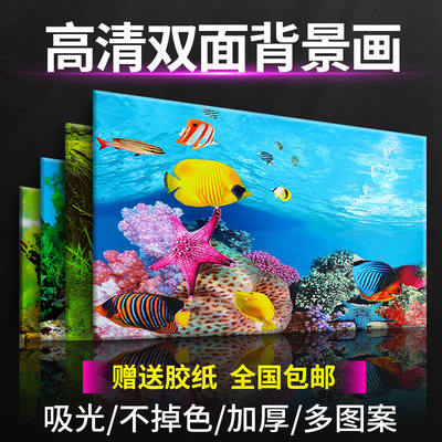 魚缸品牌排行榜前十名圖片大全視頻（魚缸品牌排行榜前十名圖片大全視頻下載）