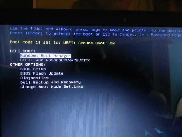戴尔笔记本电脑wind10出现f12 options是什么意