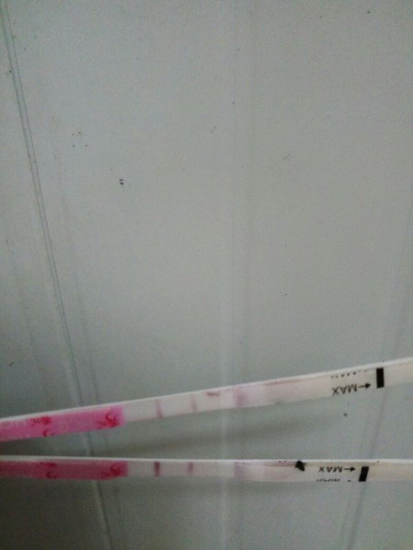 我的月经是应该这个月10号来,但是月经提前一