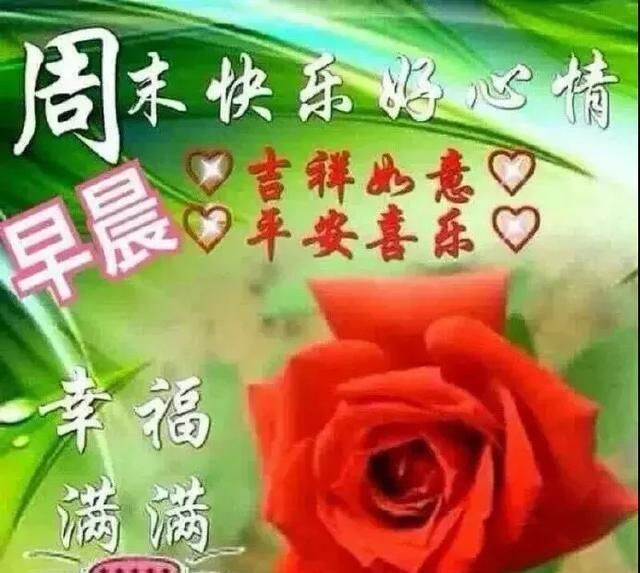 5月4日周六清晨早上好问候祝福表情无奈动态表情的图片包图片