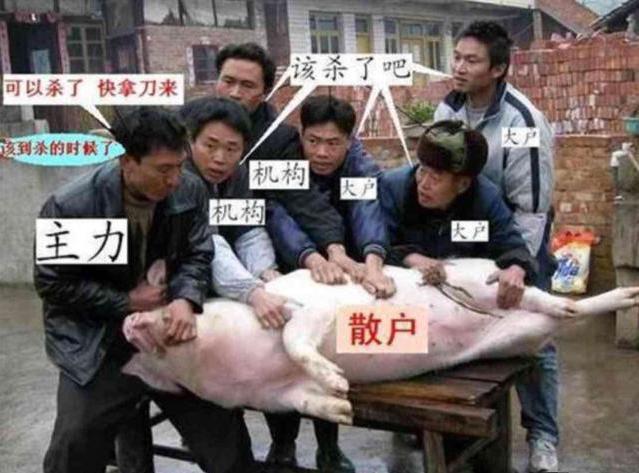 本月牛股趋势讲解:万达电影 绿地控股 金证股份