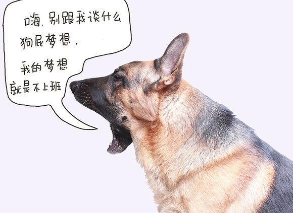 上班期间带狗咬死了业主的狗,公司要承担连带责任吗