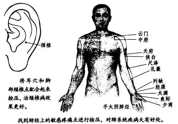 颈肩痛、脖子僵硬、头晕手麻、颈椎病，运动有没有好处?