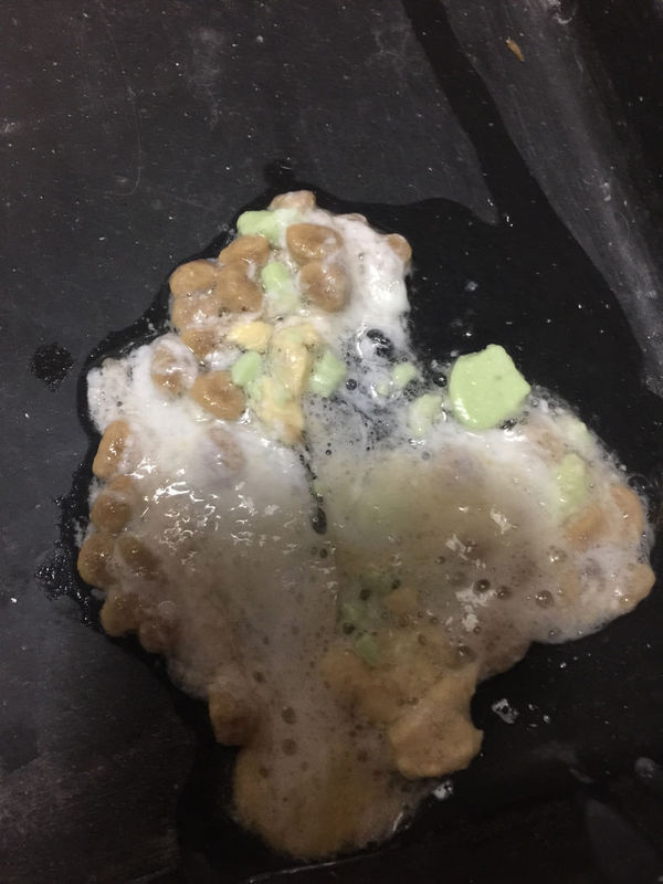 狗狗刚的东西就吐出来了 刚刚喂了它一点酸奶