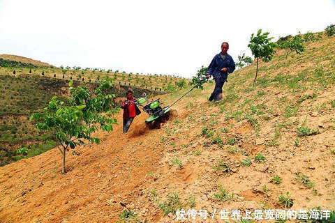 好消息！国家要给农村这3类人发工资了！你拿的到吗？