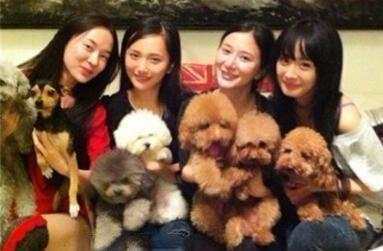 赵丽颖闺蜜、杨幂闺蜜、杨颖闺蜜, 网友: 身价差