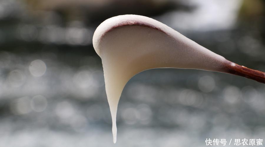 柠檬蜂蜜水可以止咳吗?怎么做效果好?