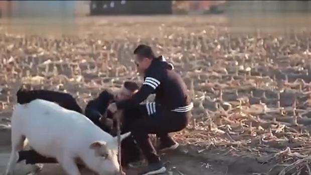 岭城兄弟电影什么时候上映_360问答