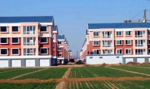 农村土地所有权