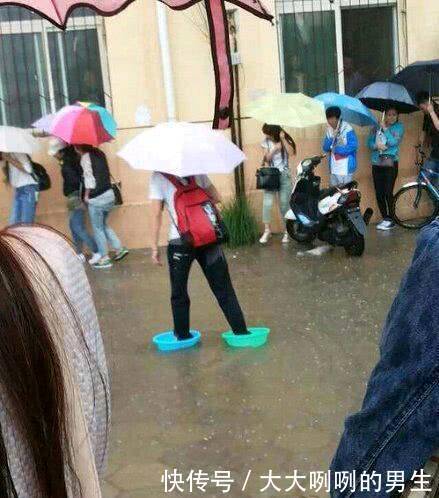 搞笑图片幽默段子笑话狗狗你帮主人打扫卫生呢