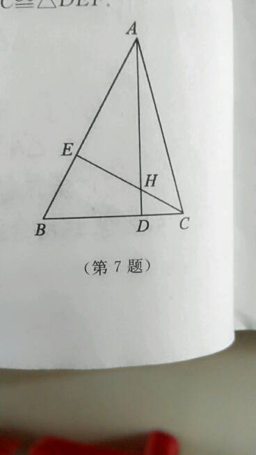 初一下册数学证全等图形题 需要过程 如图,在△