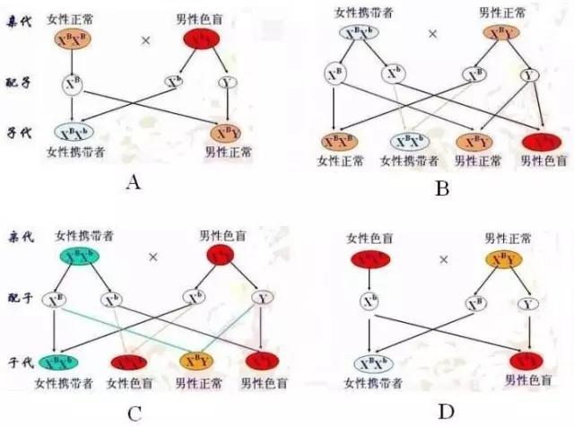 都说「色盲」考驾照是对他人生命的不负责,你怎么看?