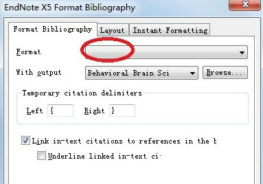endnote4怎么格式化_360问答