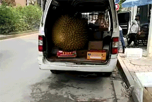 超级搞笑gif图片:单身狗的愤怒,伤不起啊啊