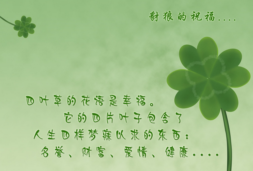 四叶草的寓意传说图片