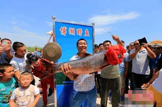 中国最大过万公顷的淡水湖，旁边就是沙漠，产出的鱼一条两万八！