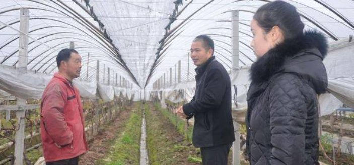 国际贸易是做什么的