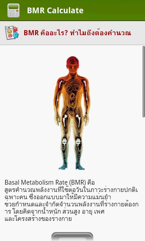BMR计算器截图7