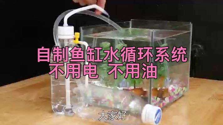 魚缸燈定時器怎么設(shè)置（魚缸燈定時器怎么設(shè)置圖解）