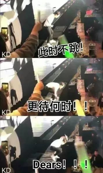 戴佩妮被吓傻、王菲成表情,说动态的明星演表情包里相声群晚上好图片