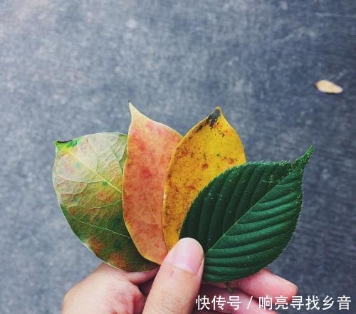 微信看不了更多表情