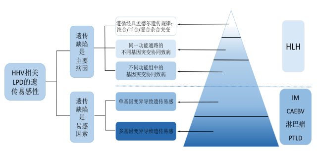 陆道培医院于国际学术期刊发布中国人群噬血细胞综合征遗传突变谱