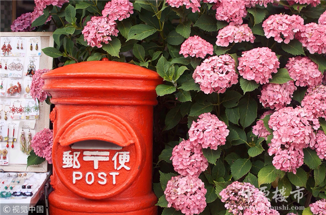 相信我,今年郑州520的最佳告白方式是.........