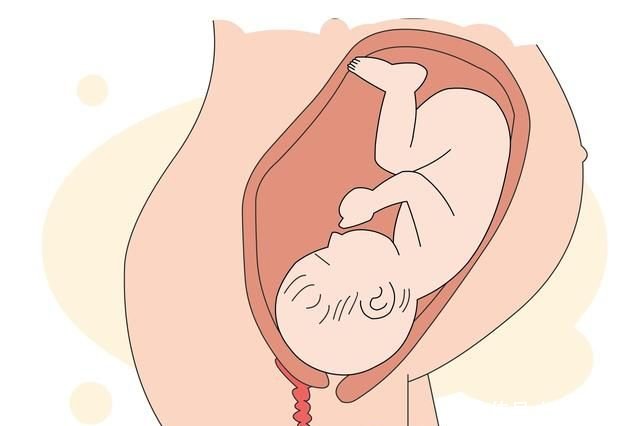 怀孕37周,胎儿往上顶着孕妇的胃,逃不开这三种