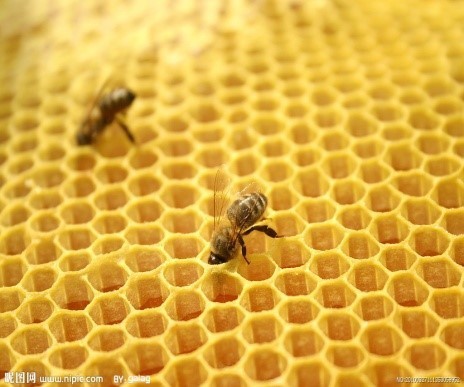 如何理解马克思在 资本论 中说的,蜜蜂建造的蜂