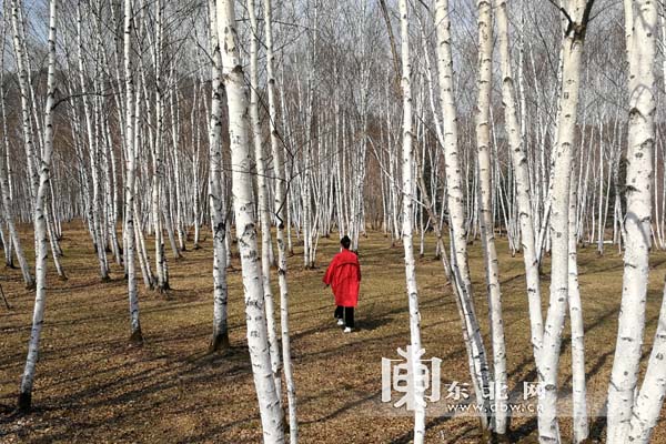 【早春走龙江】赴金山屯来一场原生态养生之旅