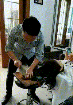 爆笑gif:毫无违和感的p图 - 360娱乐,你开心就好