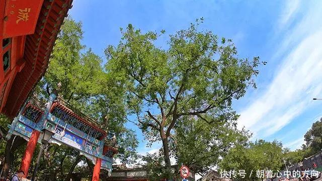 慢街素院,儒风禅韵雍和宫大街变变变