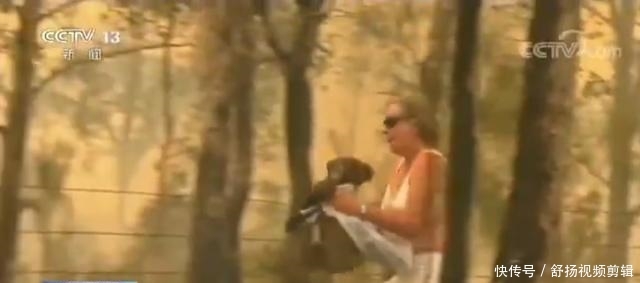 澳洲大火影响7月