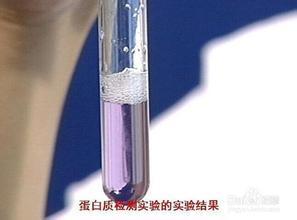 rna聚合酶可以用双缩尿试剂检测?_360问答