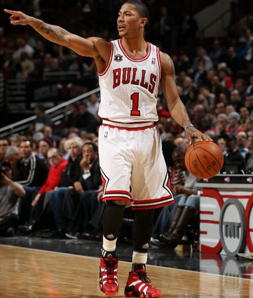 德里克·罗斯_360百科