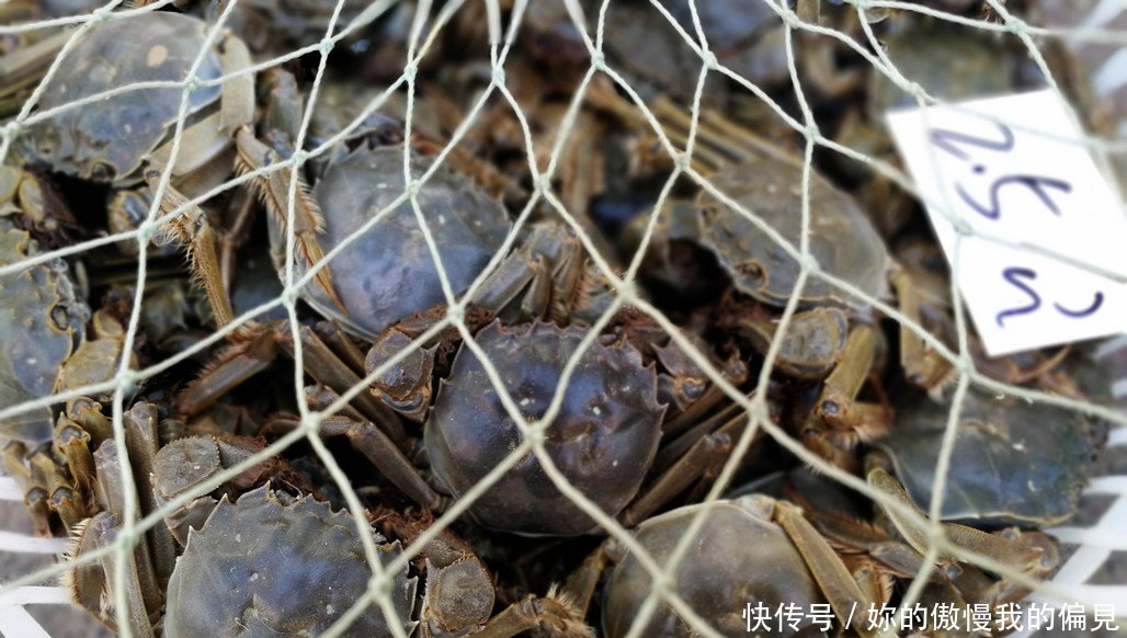 大闸蟹菜市场热卖 4两大公蟹45元一斤 母蟹翻