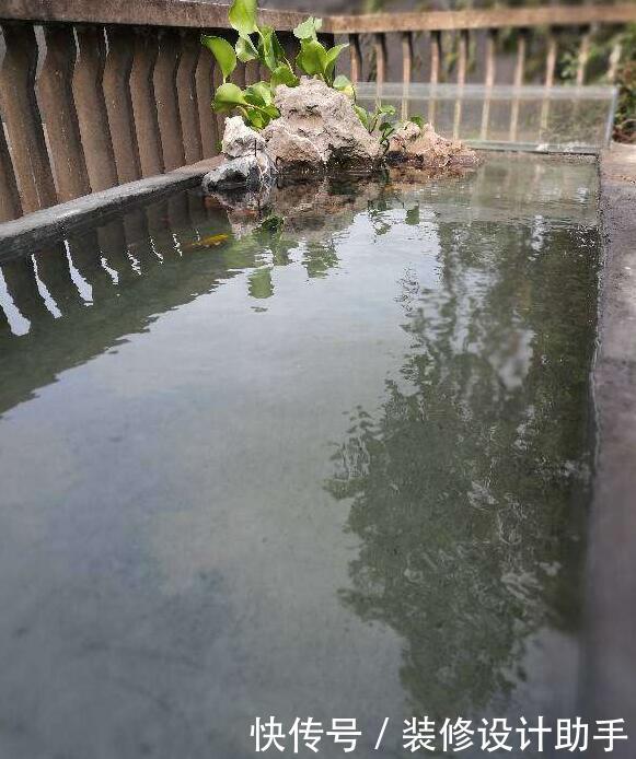阳台改造的最牛逼的家用露天鱼池,唯一的问题是下大雨了怎么办?