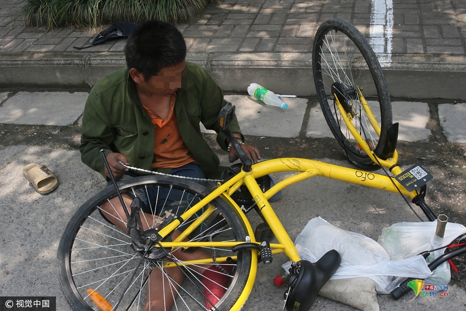 t018032ccfcae9ccf7b.jpg