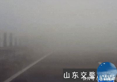 t01806518f09fc05beb.gif?size=400x282