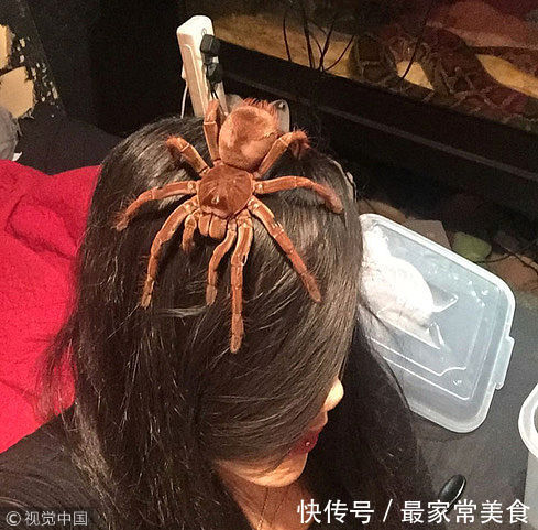 英重口味女子与5米巨蟒同居 共收集16条蛇公