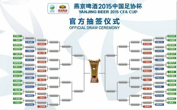 2015中国足协杯有电视或网上的直播吗
