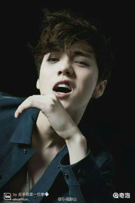 我是歌手那英要请鹿晗当导师么?_360问答