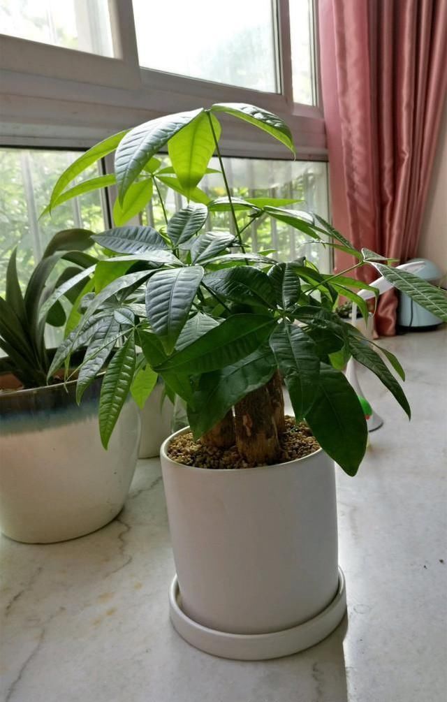 t01826d2980b99223d2.jpg