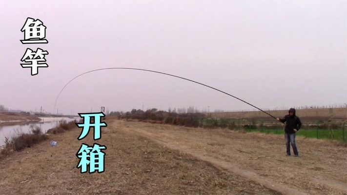 魚(yú)缸高清背景圖（魚(yú)缸高清背景圖下載）