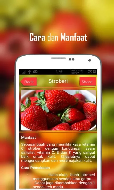 Masker Buah Untuk Kecantikan截图4